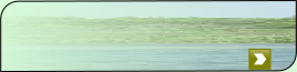 wp0dc89739.png