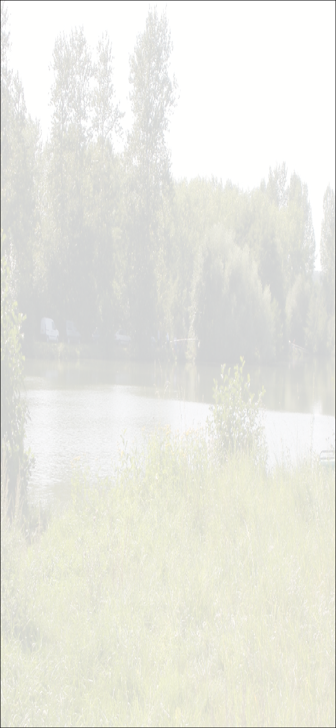 wp6180a8d3.png